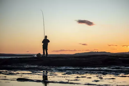 לדוג את הנהר המקומי שלך אחר פורל